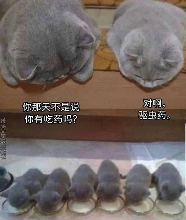 #屌图